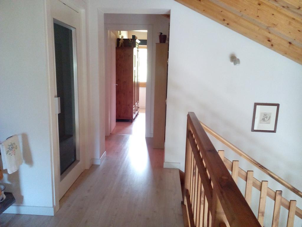 Agriturismo Il Girasole Feltre Esterno foto