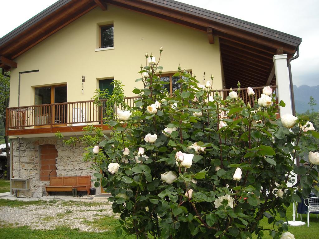 Agriturismo Il Girasole Villa Feltre Esterno foto