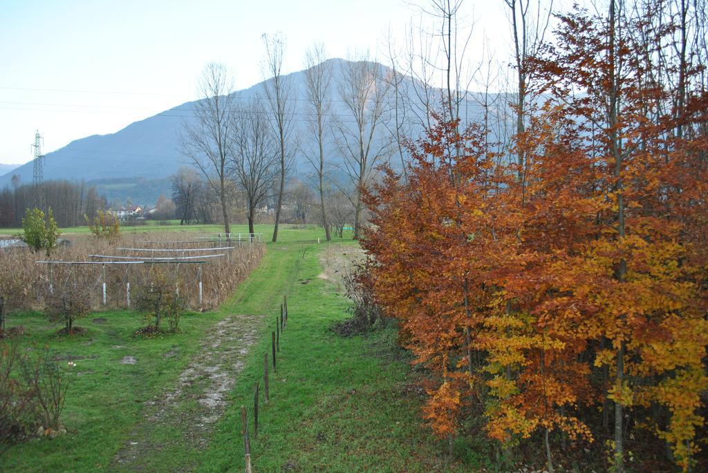 Agriturismo Il Girasole Villa Feltre Esterno foto