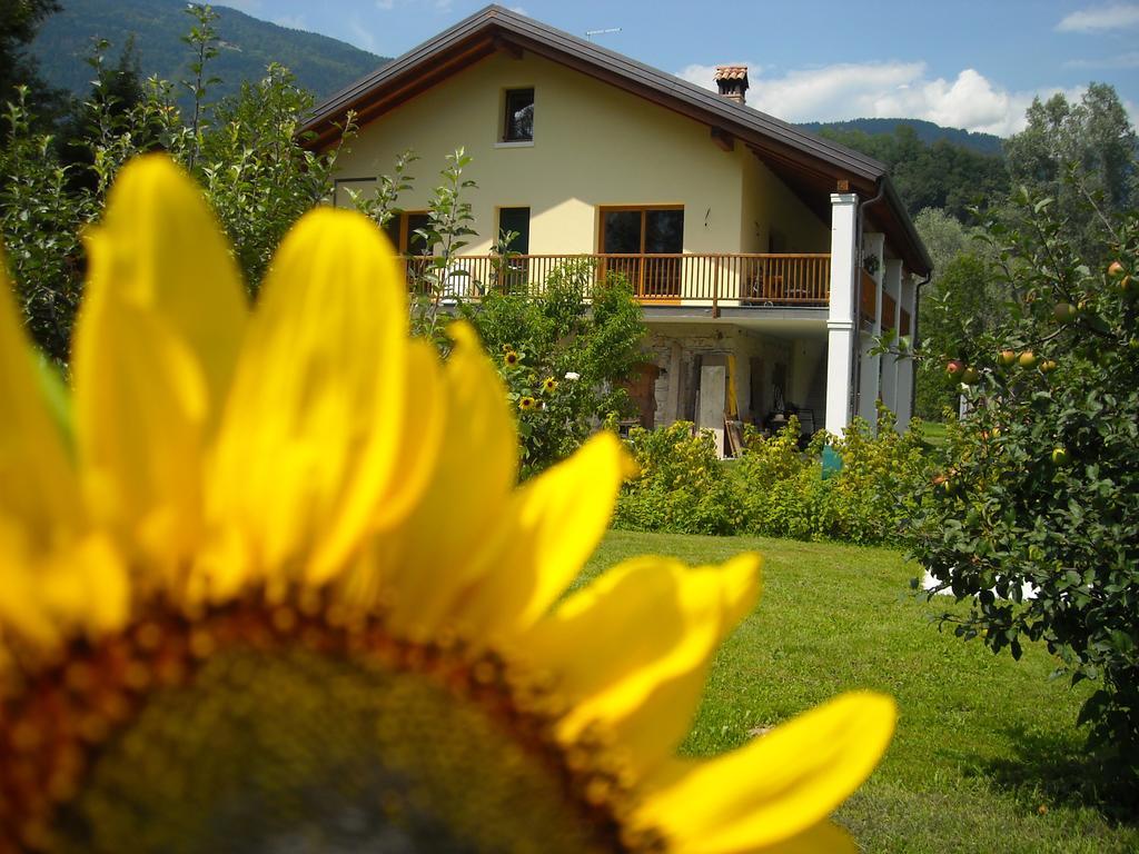 Agriturismo Il Girasole Villa Feltre Esterno foto